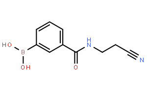 3-(2-氰基乙基甲酰氨)苯基硼酸