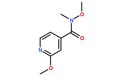 N,2-Dimethoxy-N-methylisonicotinamide