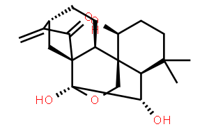 疏展香茶菜寧B