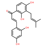 MorachalconeA