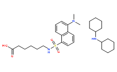 丹磺酰基-6-氨基己酸二环己胺盐