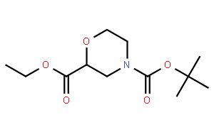 2,4-吗啉二羧酸4-叔丁酯2-乙酯