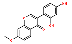 2’，4’-二羥基-7-甲氧基異黃酮