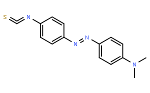 4-二甲氨基偶氮苯-4'-硫代异氰酸酯
