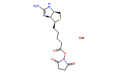 亞氨基生物素N-羥基琥珀酰亞胺酯