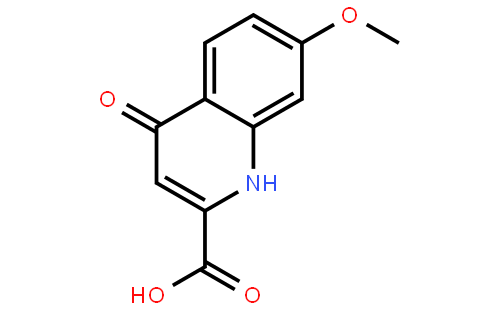 7-Methoxy-4-oxo-1,4-dihydroquinoline-2-carboxylic acid
