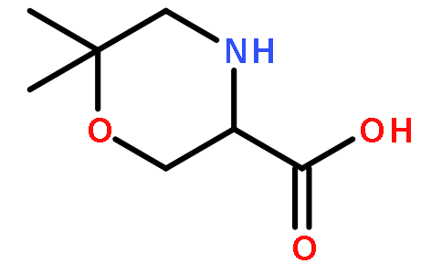 (S)-6,6-dimethylmorpholine-3-carboxylic acid