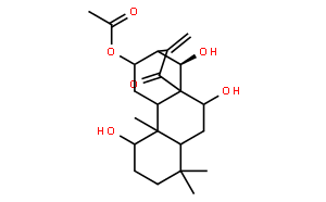 香茶菜乙素