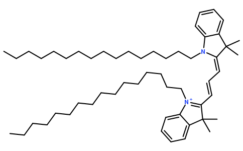 DiIC16(3) [1,1'-Dihexadecyl-3,3,3',3'-tetramethylindocarbocyanine perchlorate]