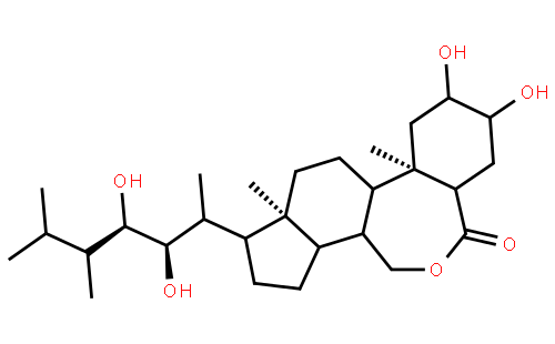 天丰素