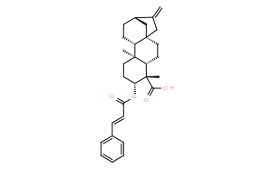 等效-3BETA-肉桂酰氧基貝殼杉-16-烯-19-酸