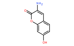 3-Amino-7-hydroxycoumarin [3-Aminoumbelliferone]