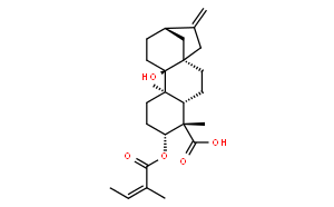 3ALPHA-当归酰氧基-9BETA-羟基等效贝壳杉-16-烯酸