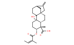 3ALPHA-當(dāng)歸酰氧基-9BETA-羥基等效貝殼杉-16-烯酸