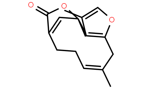 钓樟内酯
