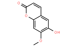 6-羟基-7-甲氧基香豆素；异莨菪内酯