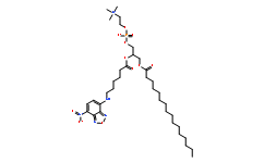 NBD-C<sub>6</sub>-HPC  [2-(6-(7-Nitrobenz-2-oxa-1,3-diazol-4-yl)amino)hexanoyl-1-hexadecanoyl-sn-glycero-3-phosphocholine]  