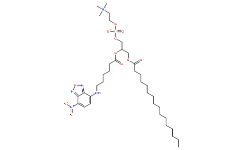 NBD-C6-HPC[2-(6-(7-Nitrobenz-2-oxa-1,3-diazol-4-yl)amino)hexanoyl-1-hexadecanoyl-sn-glycero-3-phosphocholine]