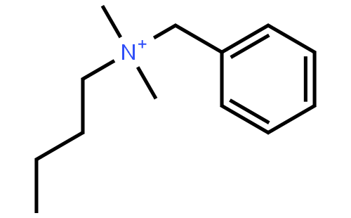 NDSB-256