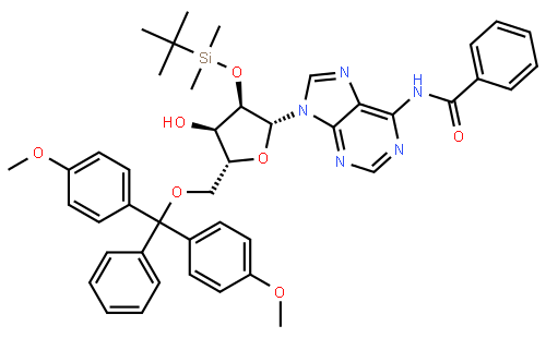 5'-O-DMT-2'-O-TBDMS-N-Bz-Adenosine