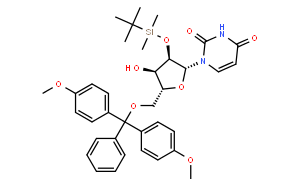 2'-O-叔丁基二甲基硅烷-5'-O-(4,4'-二甲氧基三苯甲基)尿苷
