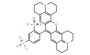 磺基羅丹明101磺酰氯