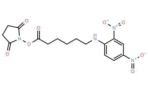 N-Succinimidyl N-(2,4-dinitrophenyl)-6-aminocaproate