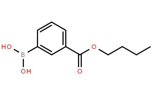 3-Butoxycarbonylphenylboronic acid