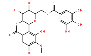 11-O-沒食子酰巖白菜素