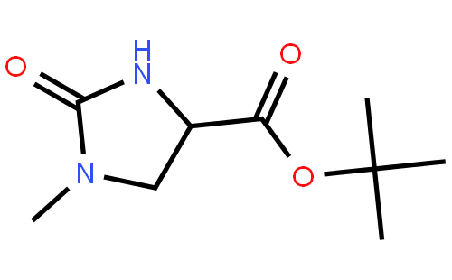 (4S)-1-甲基-2-氧代咪唑啉-4-甲酸叔丁酯