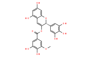 (-)-Epigallocatechin3-(3’’-O-methly)gallate