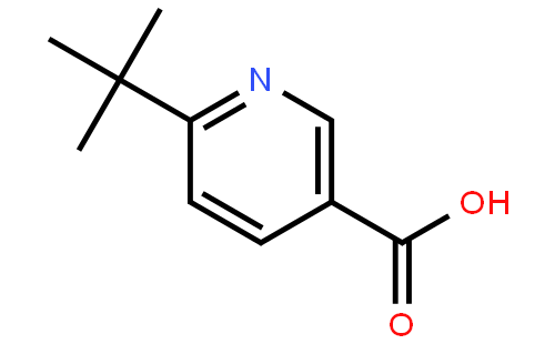 6-(tert-Butyl)nicotinic acid