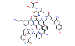 Dynorphin B