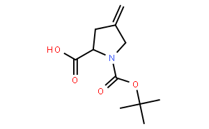 N-Boc-4-亞甲基-L-脯氨酸