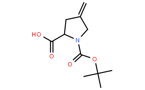 N-Boc-4-亚甲基-L-脯氨酸