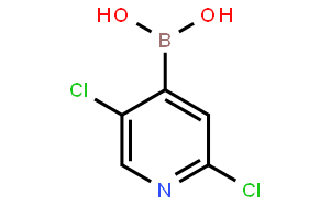 2,5-二氯吡啶-4-硼酸