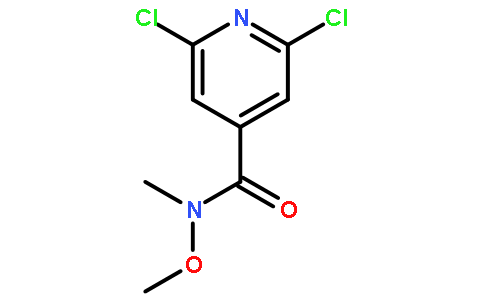 2,6-dichloro-N-methoxy-N-methylisonicotinamide