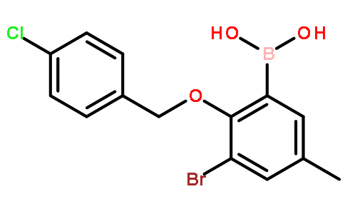 (3-Bromo-2-((4-chlorobenzyl)oxy)-5-methylphenyl)boronic acid