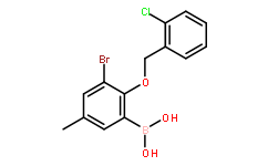 3-溴-2-(2′-氯苄氧基)-5-甲基苯基硼酸(含数量不等的酸酐)