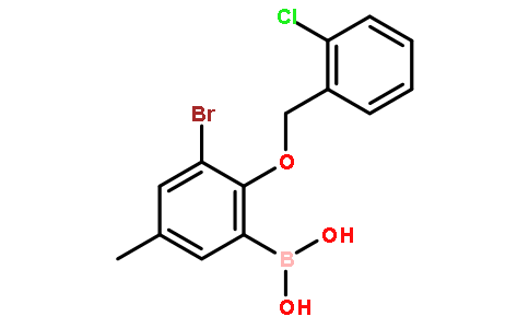 (3-Bromo-2-((2-chlorobenzyl)oxy)-5-methylphenyl)boronic acid