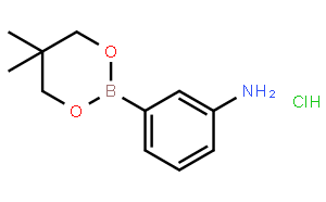 3-氨基苯基硼酸,新戊二醇酯盐酸盐