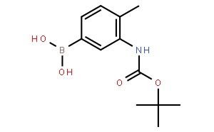 3-boc-氨基-4-甲基苯基硼酸
