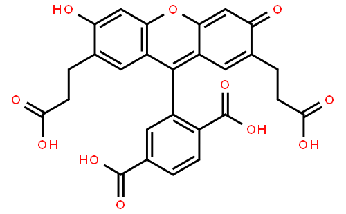 2',7'-二-(2-羧乙基)-5(6)-羧基荧光素