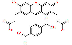 2'，7'-二-(2-羧乙基)-5(6)-羧基荧光素