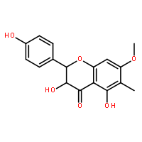 6-Methyl-7-O-methylaromadendrin