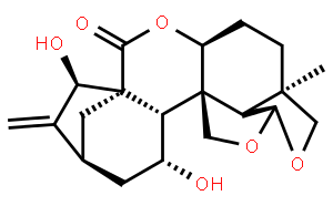 黃花香茶菜甲素，黃花甲素，大萼變型甲素