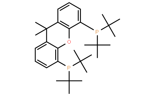 9，9-二甲基-4，5-双（二叔丁基膦）二苯并-γ-吡喃