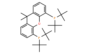 4,5-二(二叔丁基膦)-9,9-二甲基氧雜蒽