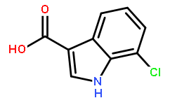 7-氯-1H-吲哚-3-羧酸