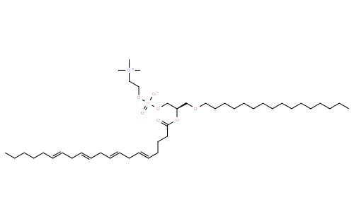 1-O-hexadecyl-2-arachidonoyl-sn-glycero-3-phosphocholine